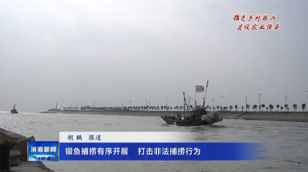 【推進(jìn)鄉(xiāng)村振興?建設(shè)農(nóng)業(yè)強(qiáng)縣】銀魚捕撈有序