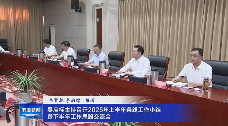 吳啟標主持召開2025年上半年條線工作小結暨下