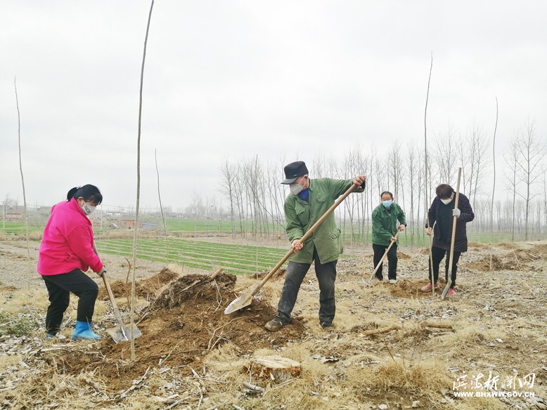 各鎮(zhèn)（區(qū)、街道）掀起植樹綠化熱潮