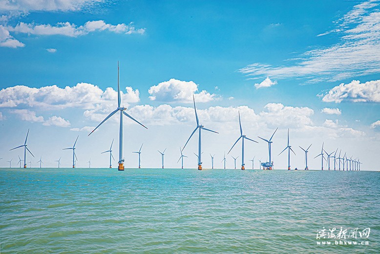 海上風電場一瞥